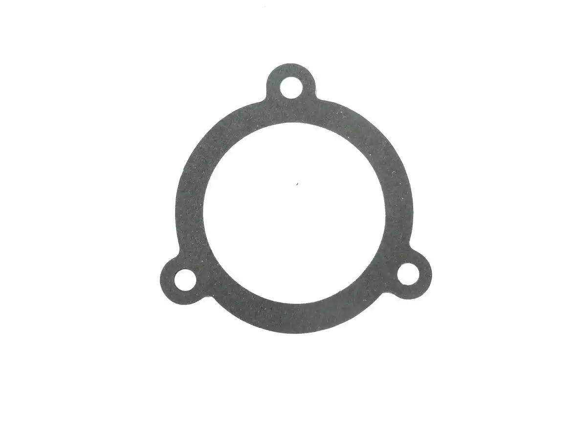 Gasket JDM490